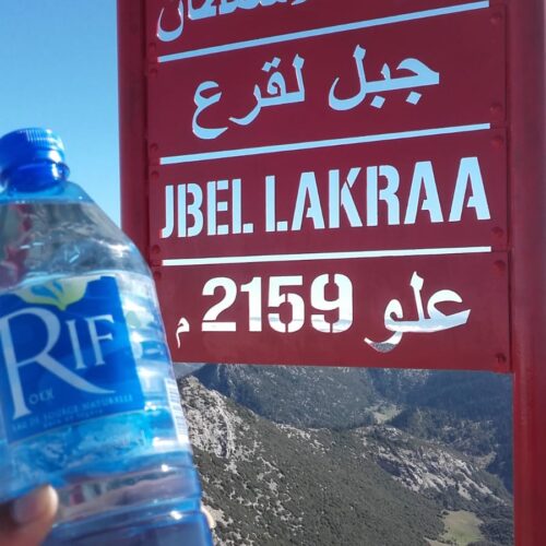 WhatsApp Image 2025 12 15 at 19.14.39 1