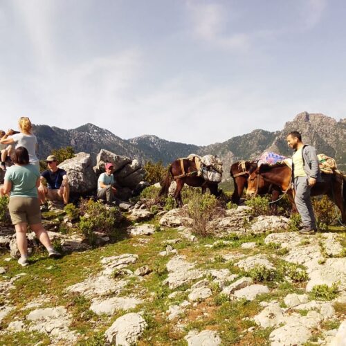 c5d632bf 55eb 485e 8d60 92536b1567dd